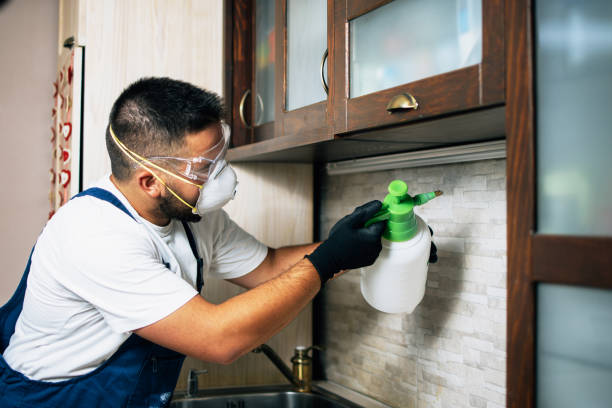 Pest Control Cost in Shinnecock Hills, NY