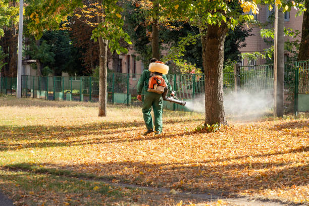 Best Residential Pest Control  in Shinnecock Hills, NY